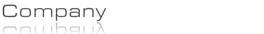 Company